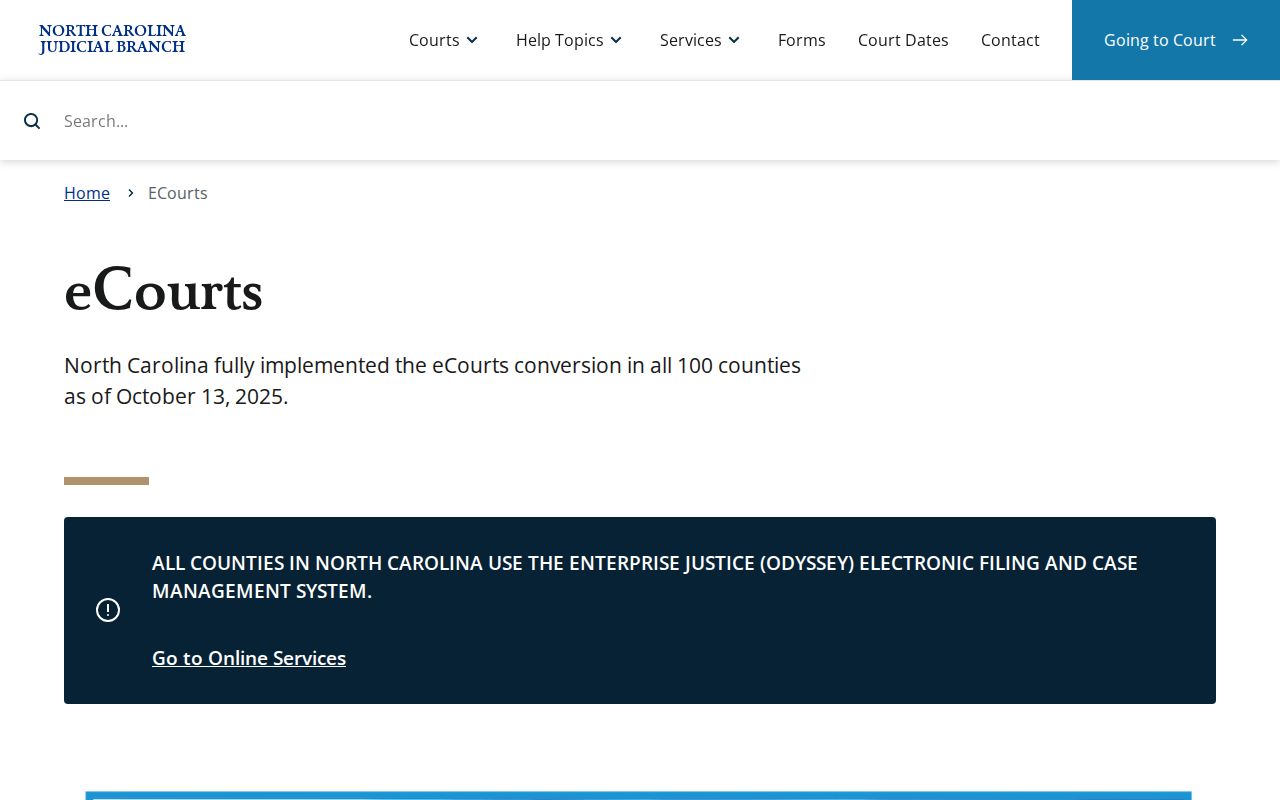 Cleveland County court docket eCourts record access overview